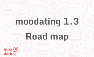 Version 1.3 road map
